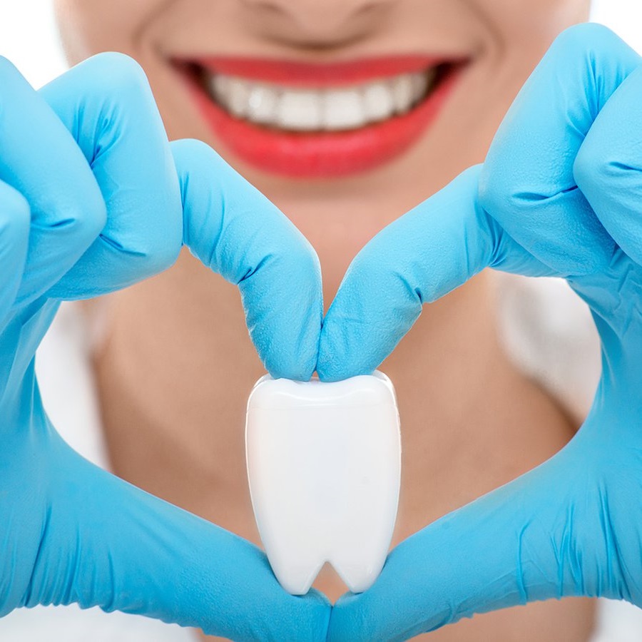  Conexión de dientes y órganos del cuerpo
